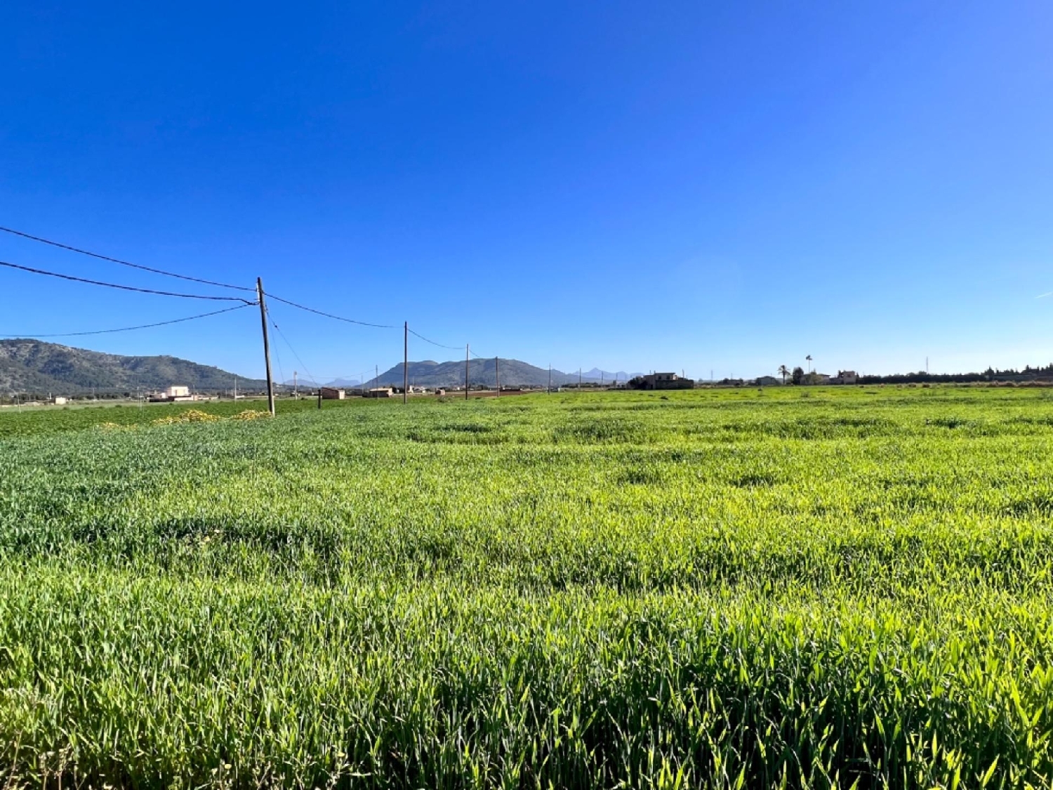 à vendre maison de campagne Sa Pobla Nord 8