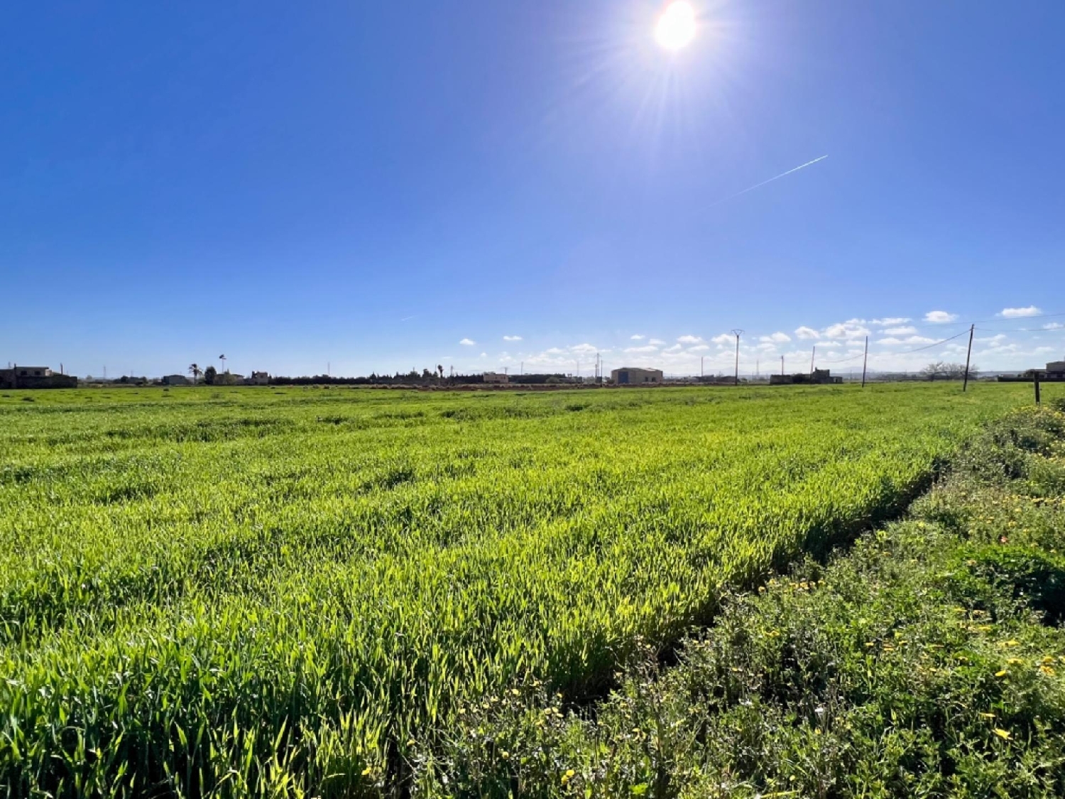 à vendre maison de campagne Sa Pobla Nord 3
