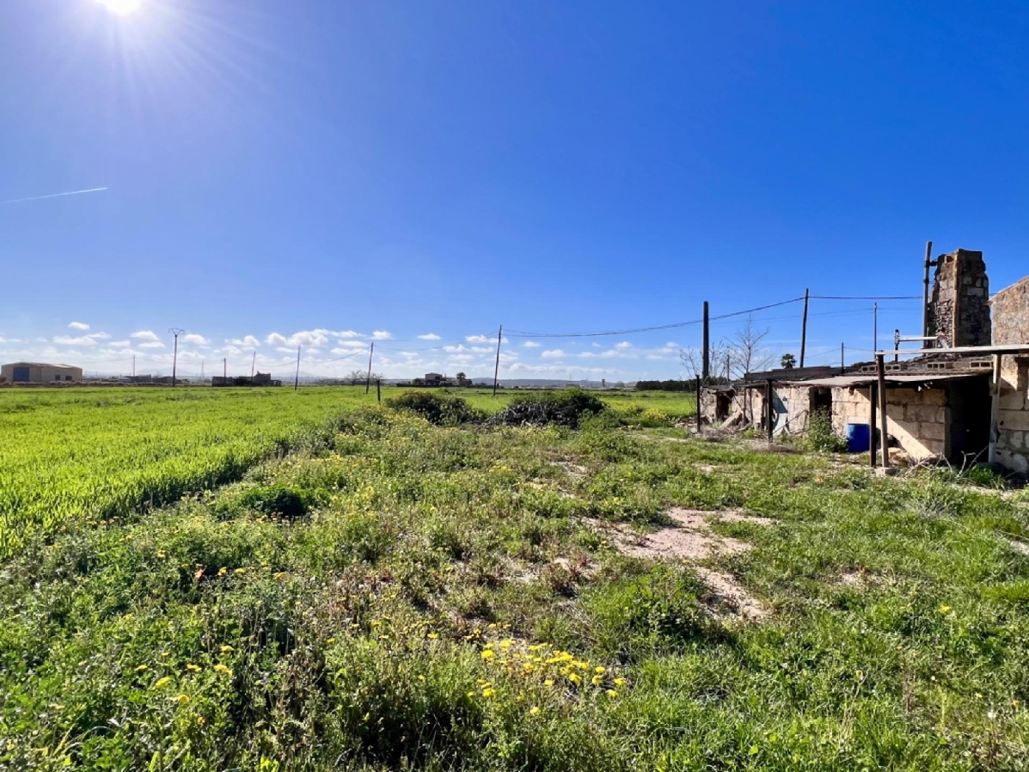  à vendre maison de campagne Sa Pobla Nord 7