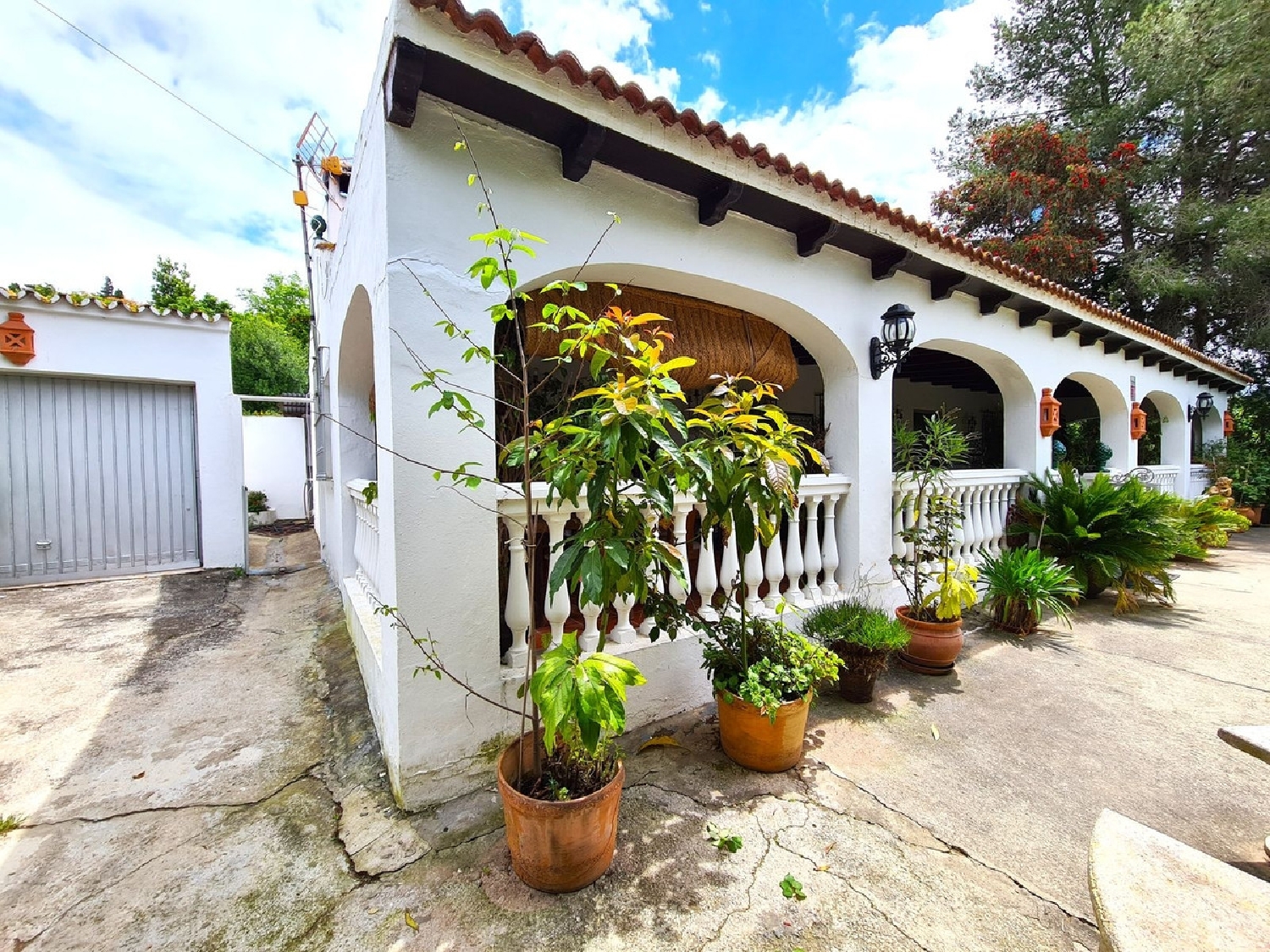 te koop boerderij San Martin Del Tesorillo Campo De Gibraltar 3