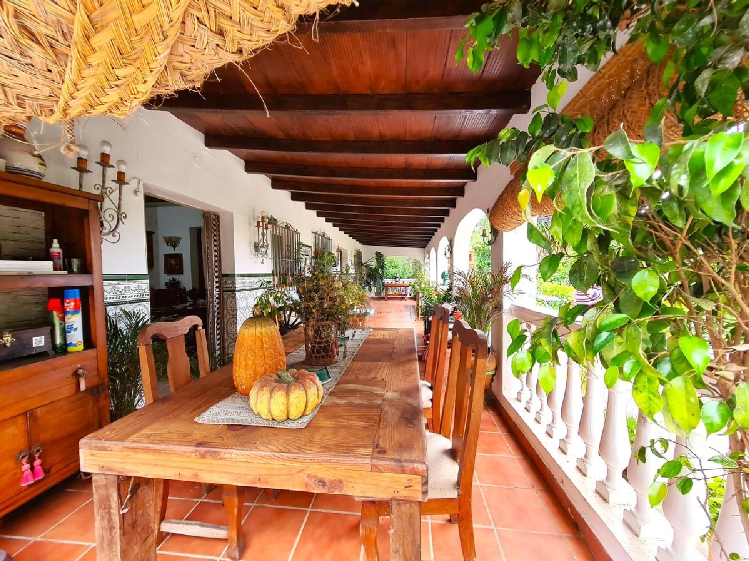  te koop boerderij San Martin Del Tesorillo Campo De Gibraltar 6