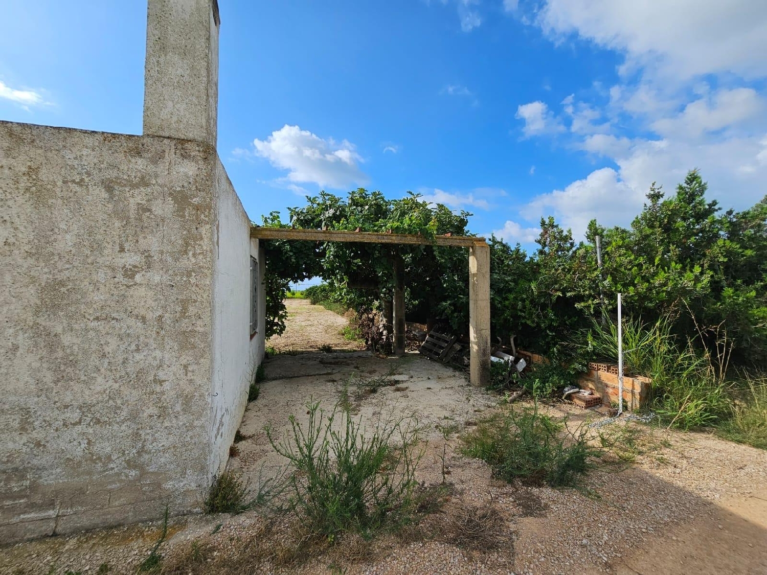  kaufen Landhaus Sant Carles De La Ràpita Montsià 6