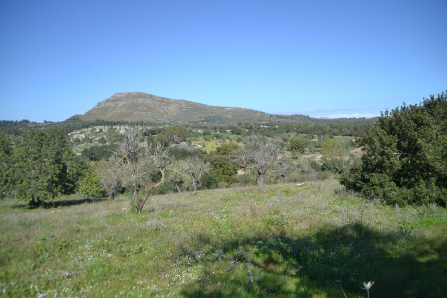 à vendre maison de campagne Sant Llorenç Des Cardassar Llevant 4