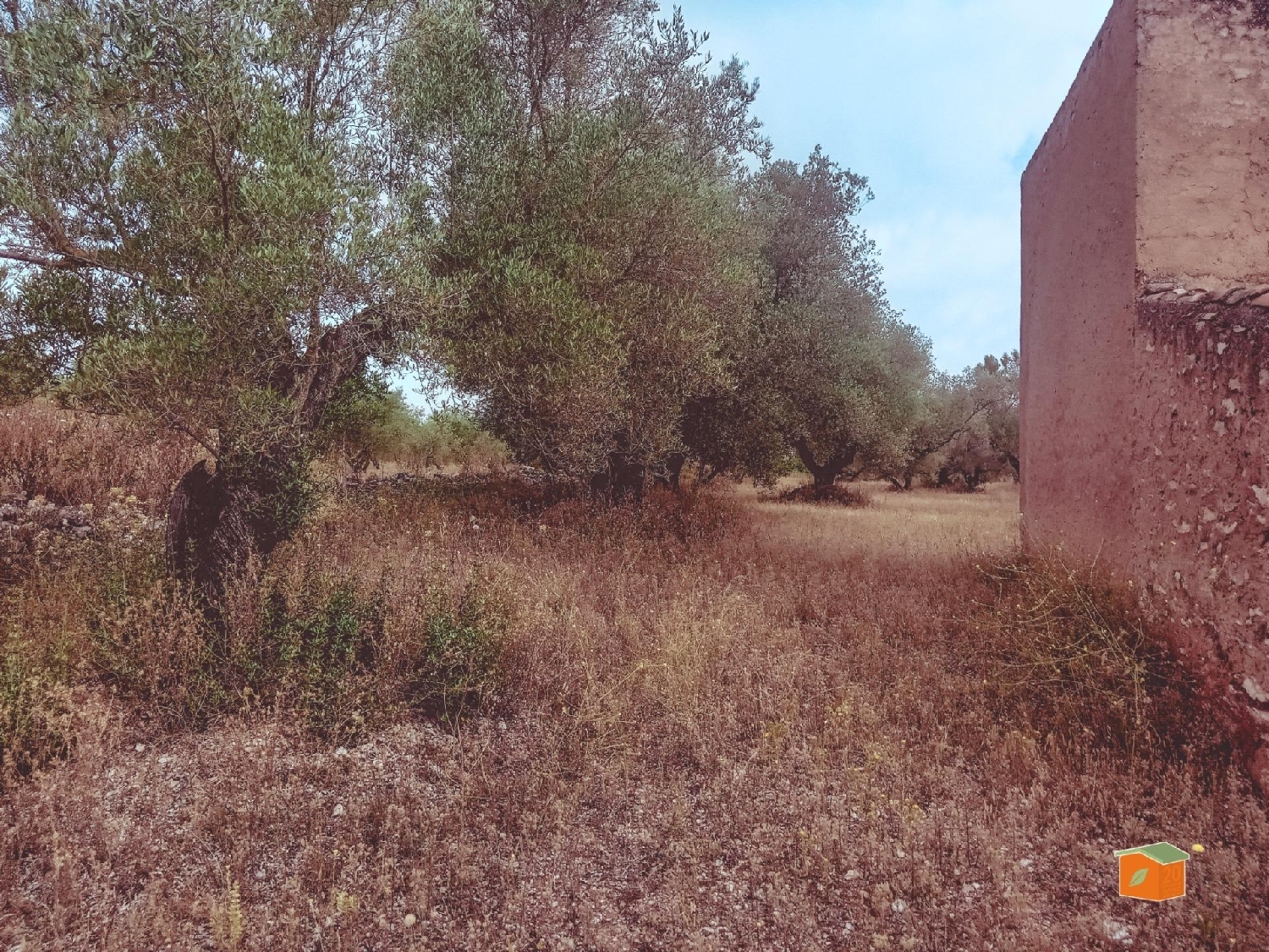  à vendre maison de campagne Santa Barbara Levante Almeriense 7