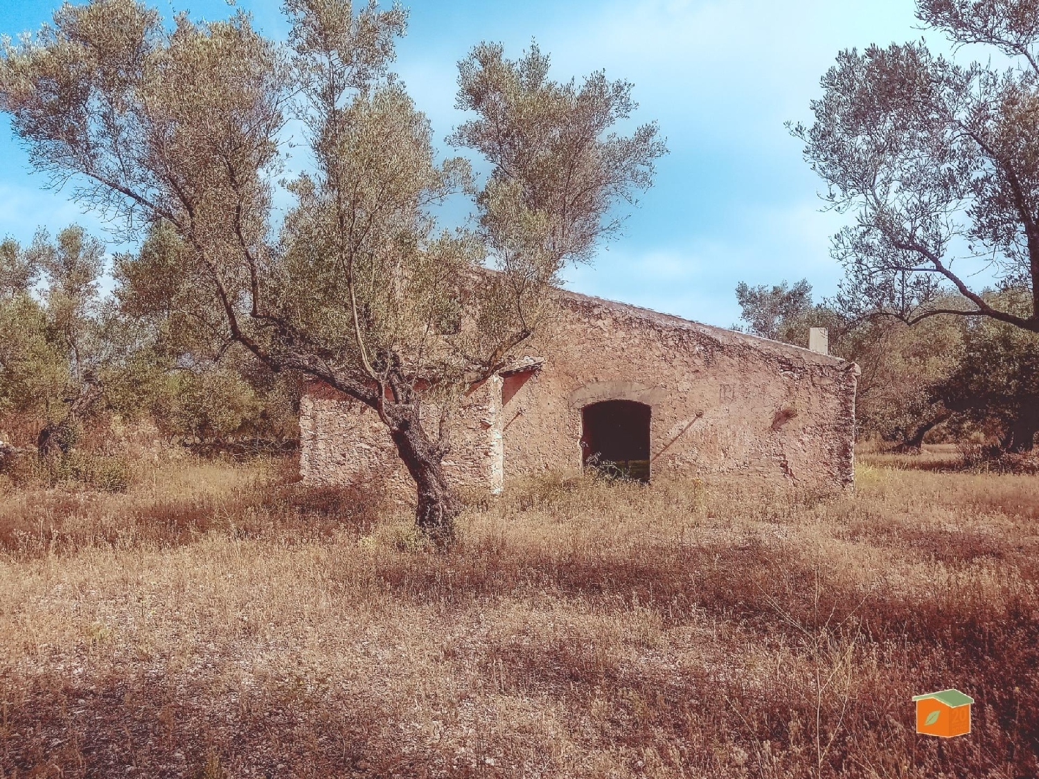  à vendre maison de campagne Santa Barbara Levante Almeriense 6