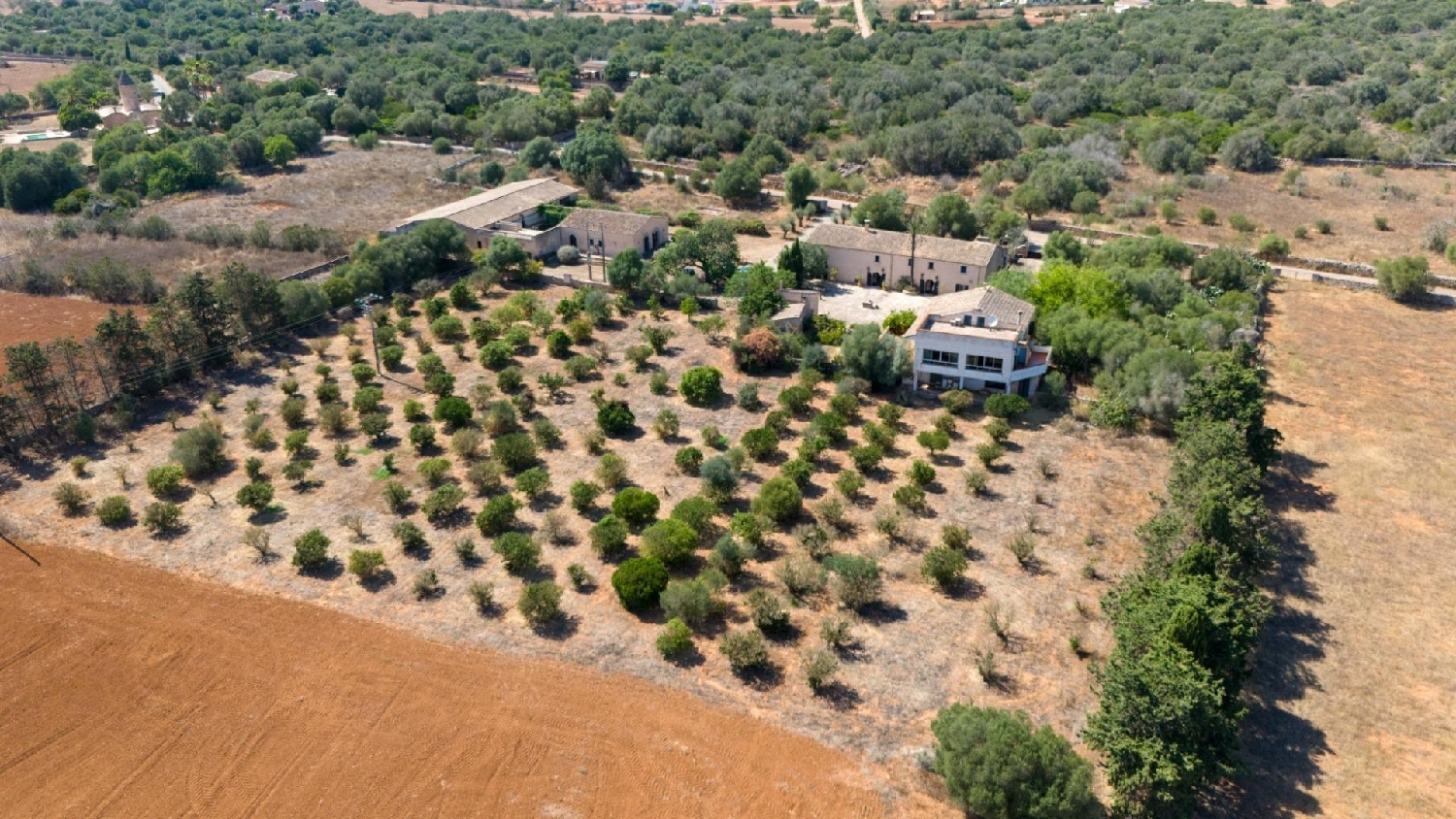  en venta finca rústica Santanyí Sud 6