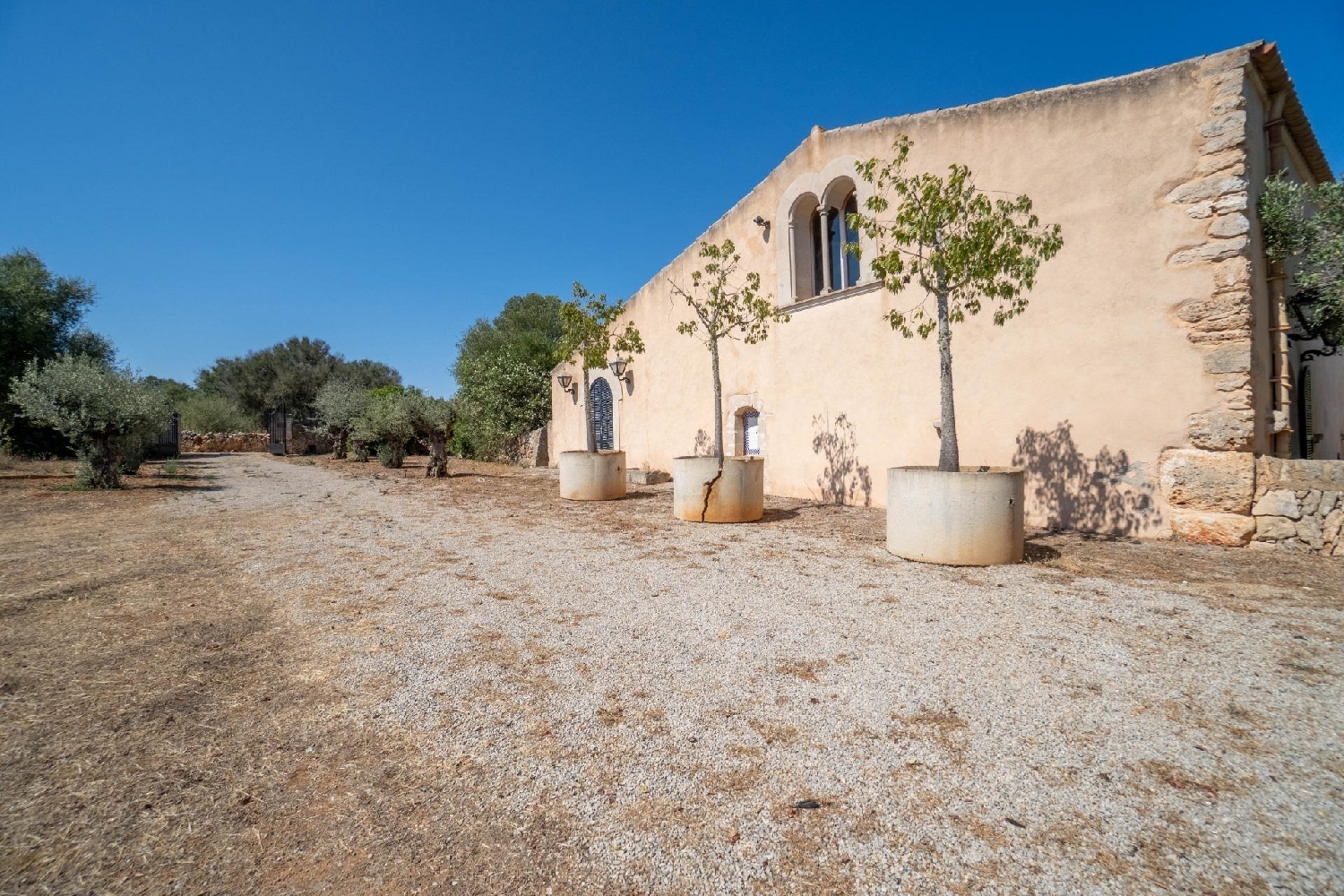  en venta finca rústica Santanyí Sud 4