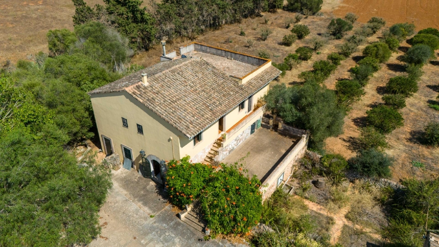  en venta finca rústica Santanyí Sud 2
