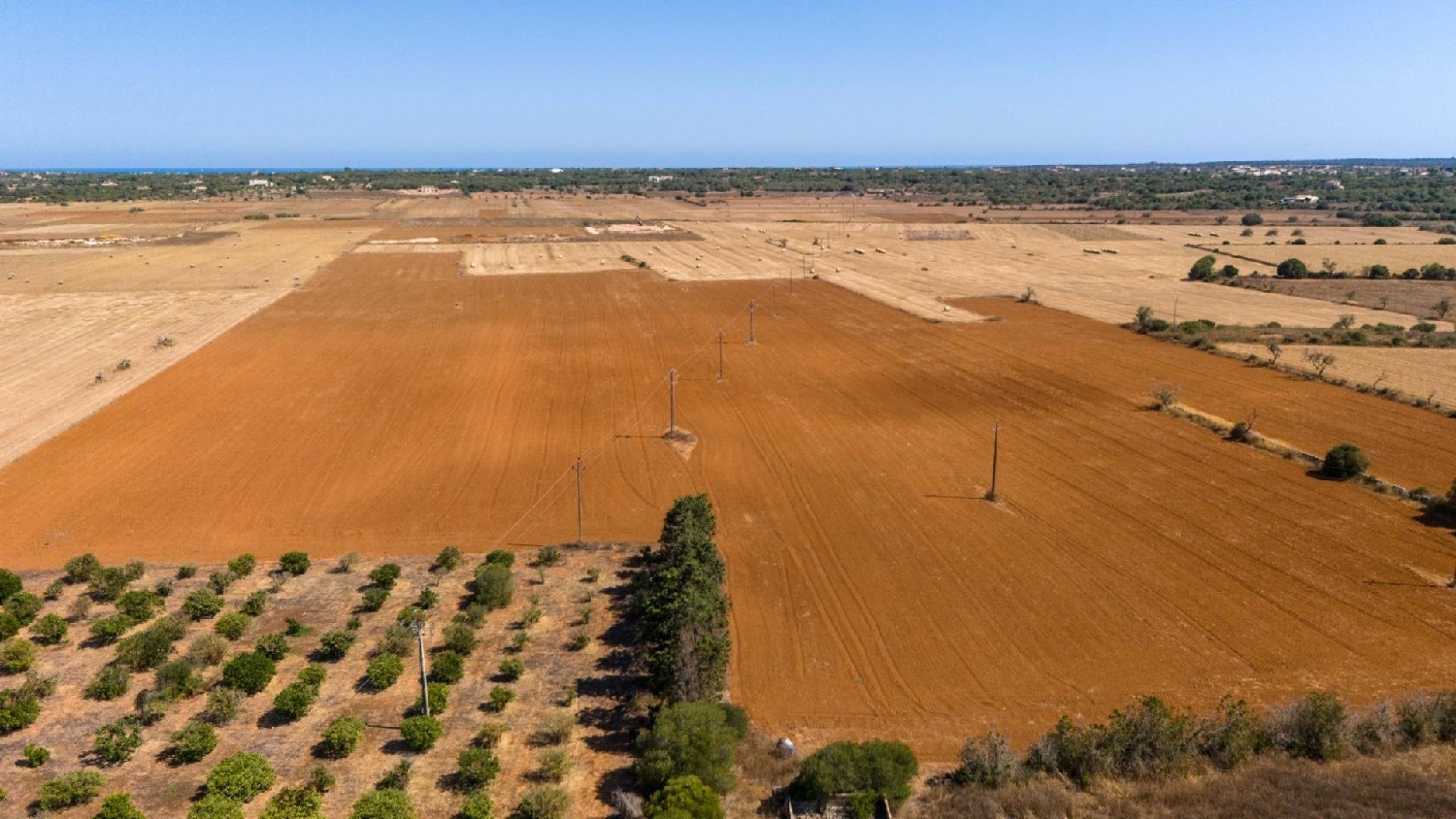  en venta finca rústica Santanyí Sud 8