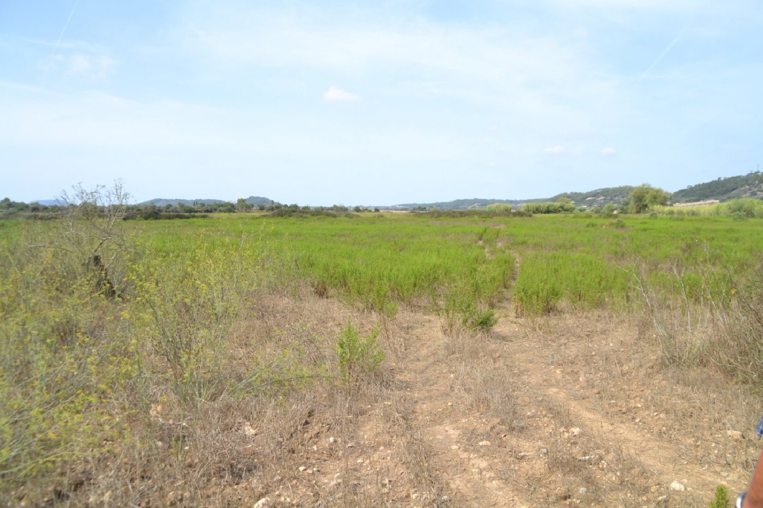  à vendre maison de campagne Sineu Pla (Es) 8