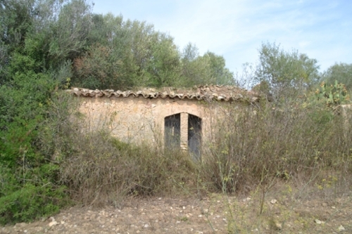 Sineu Pla (Es) maison de campagne foto 6270988