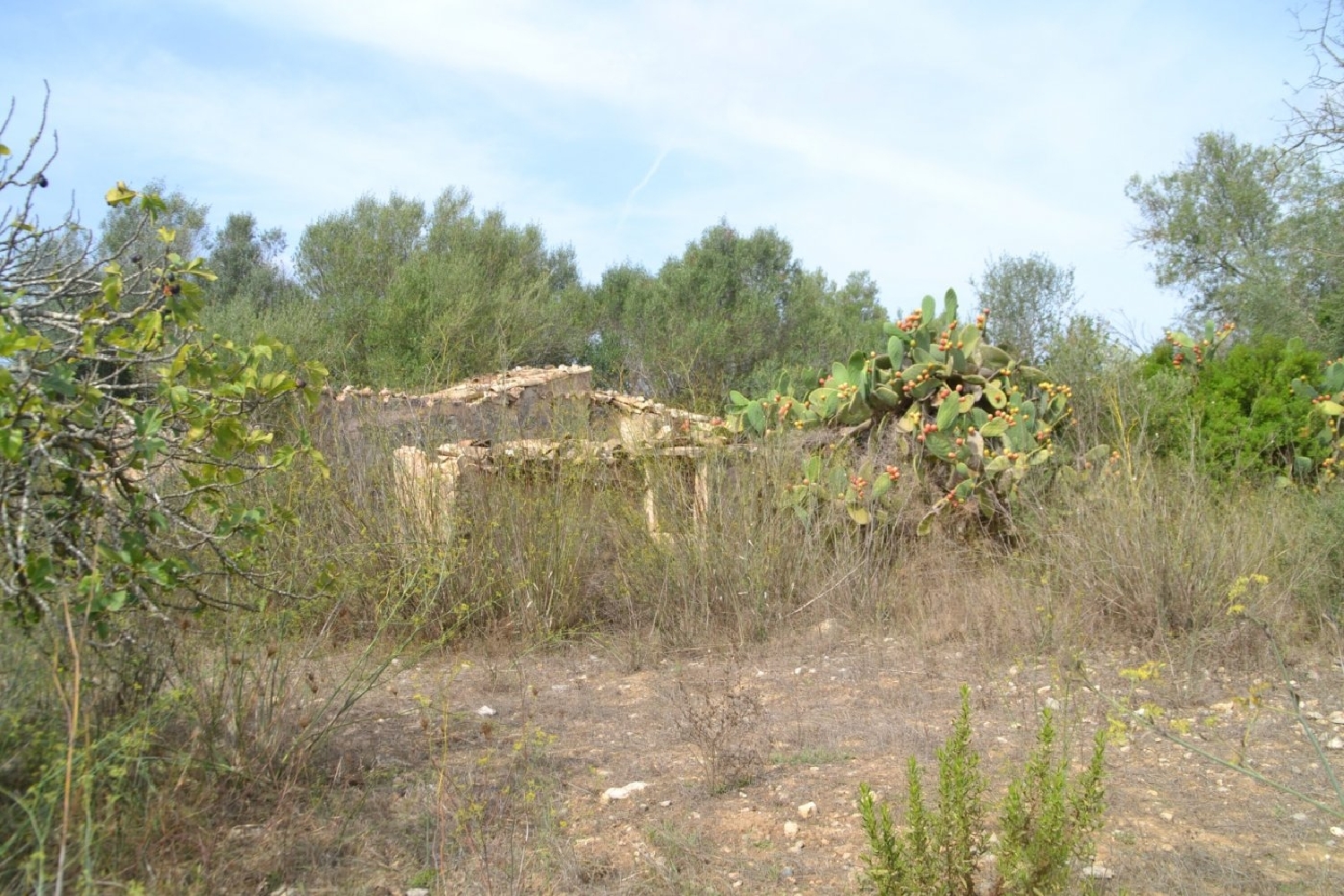  à vendre maison de campagne Sineu Pla (Es) 7