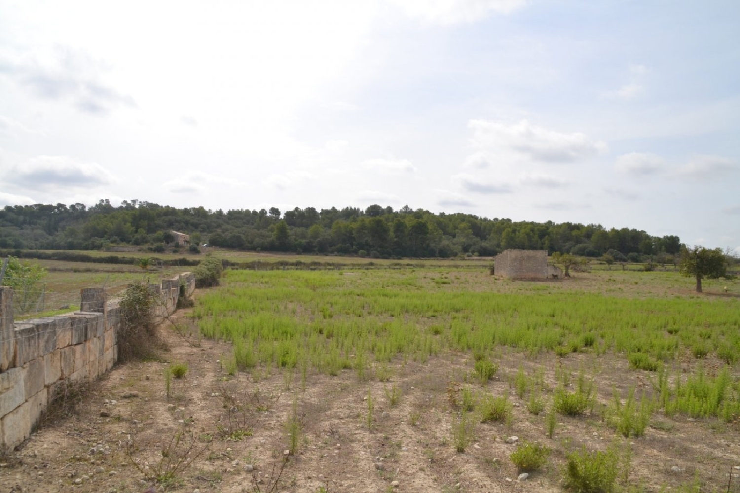à vendre maison de campagne Sineu Pla (Es) 3