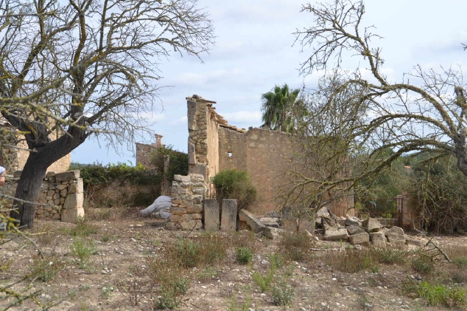  à vendre maison de campagne Sineu Pla (Es) 7