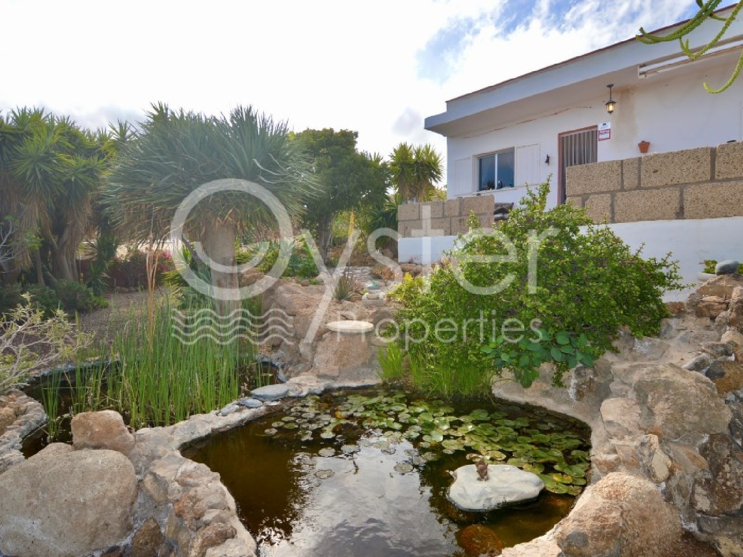  kaufen Landhaus Sueño Azul Zona Sur 4