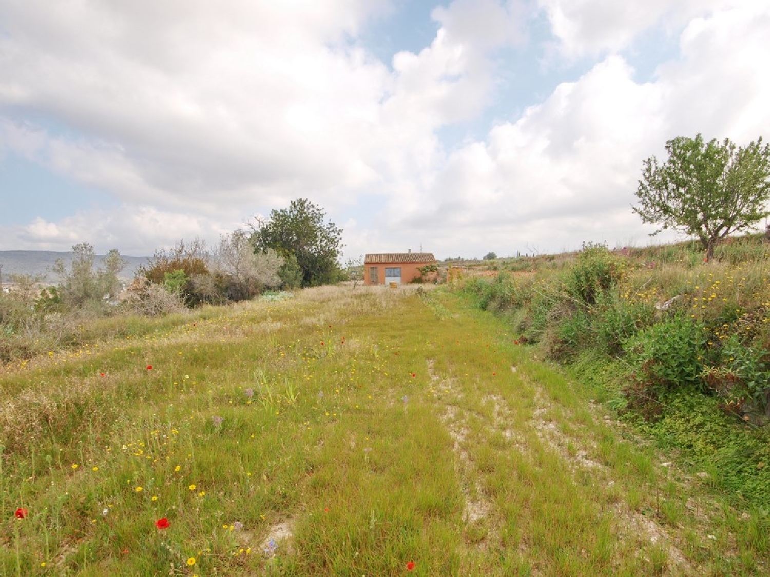  kaufen Landhaus Teulada Marina Alta 5