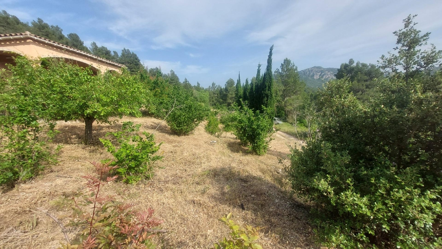  te koop boerderij Tivissa Ribera D'ebre 4