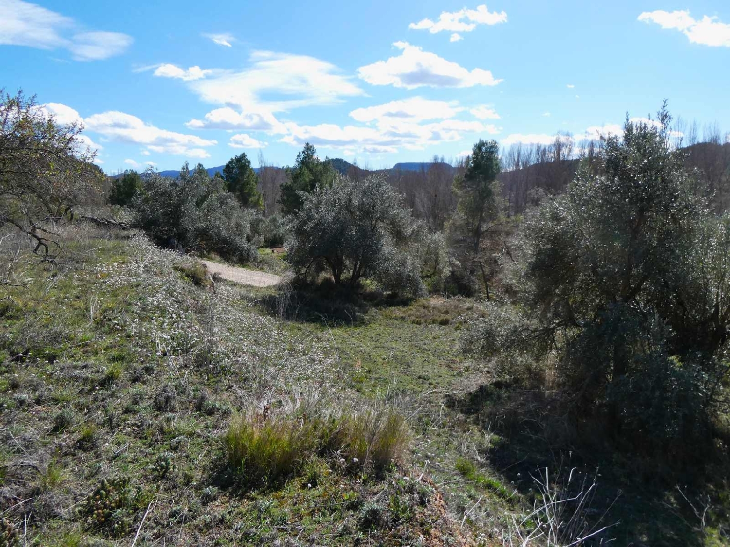  à vendre maison de campagne Valderrobres Matarraña 7