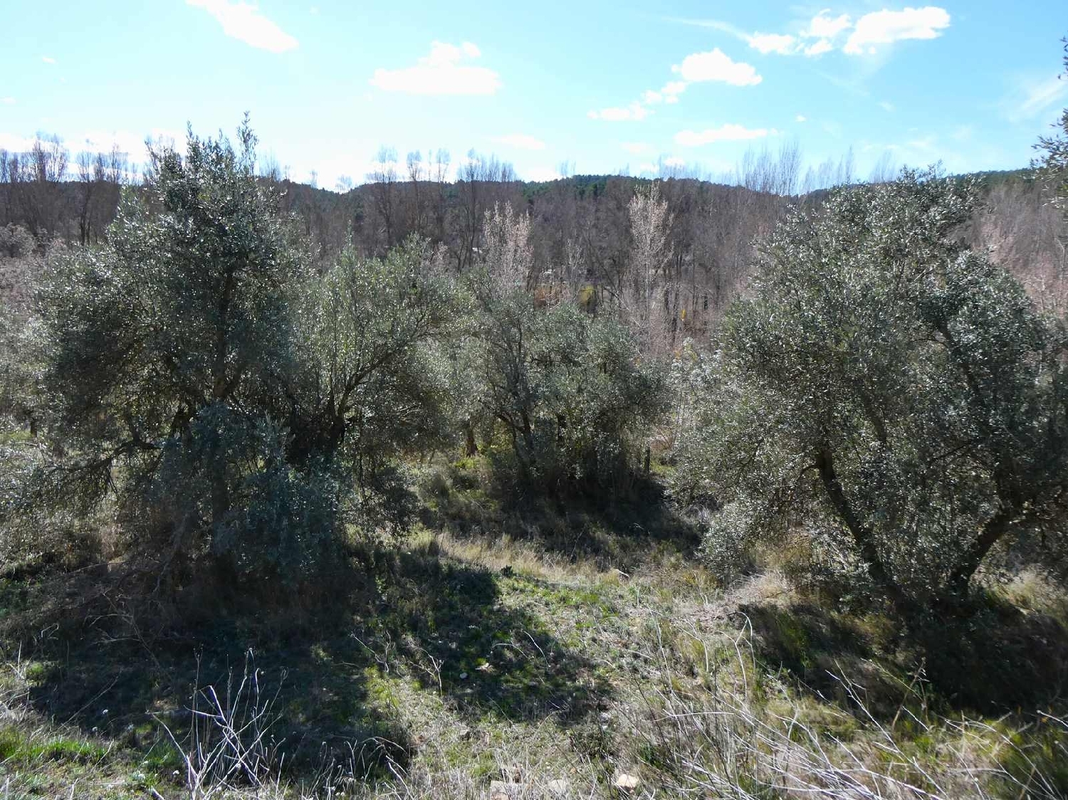  à vendre maison de campagne Valderrobres Matarraña 13