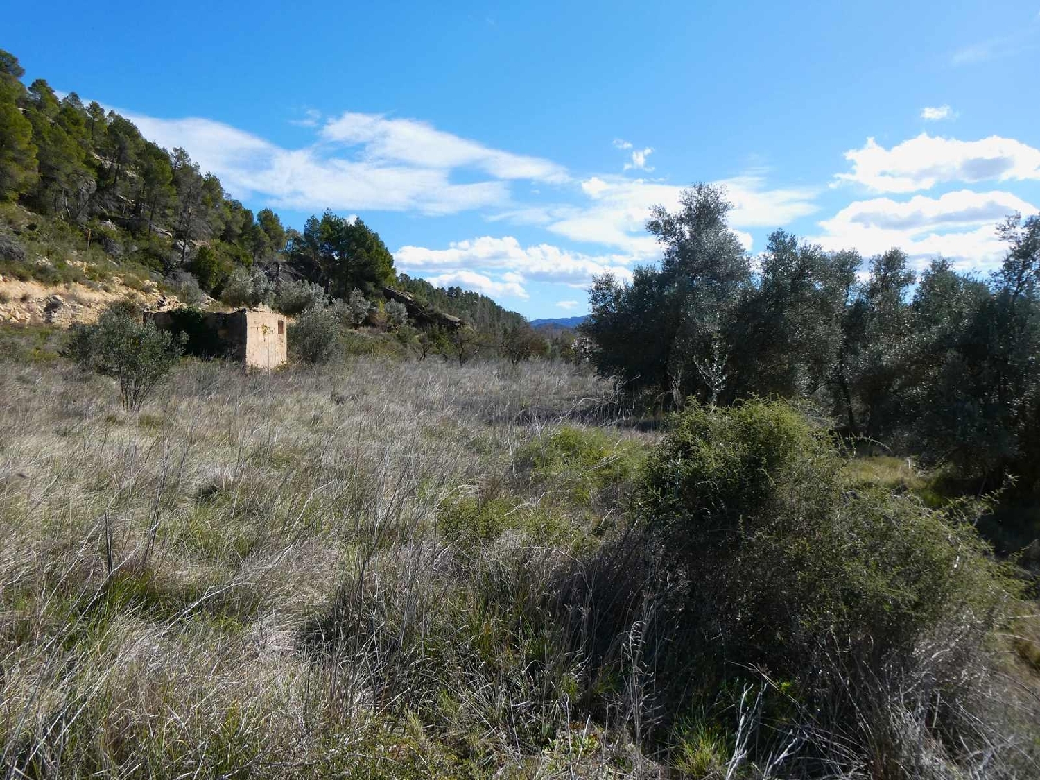  à vendre maison de campagne Valderrobres Matarraña 9