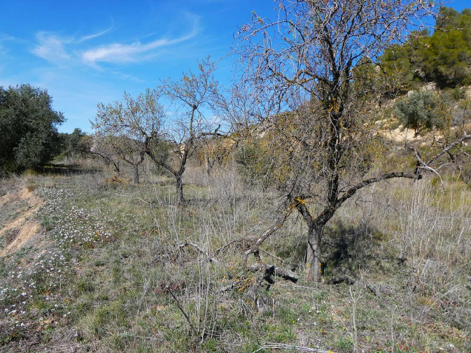  à vendre maison de campagne Valderrobres Matarraña 15