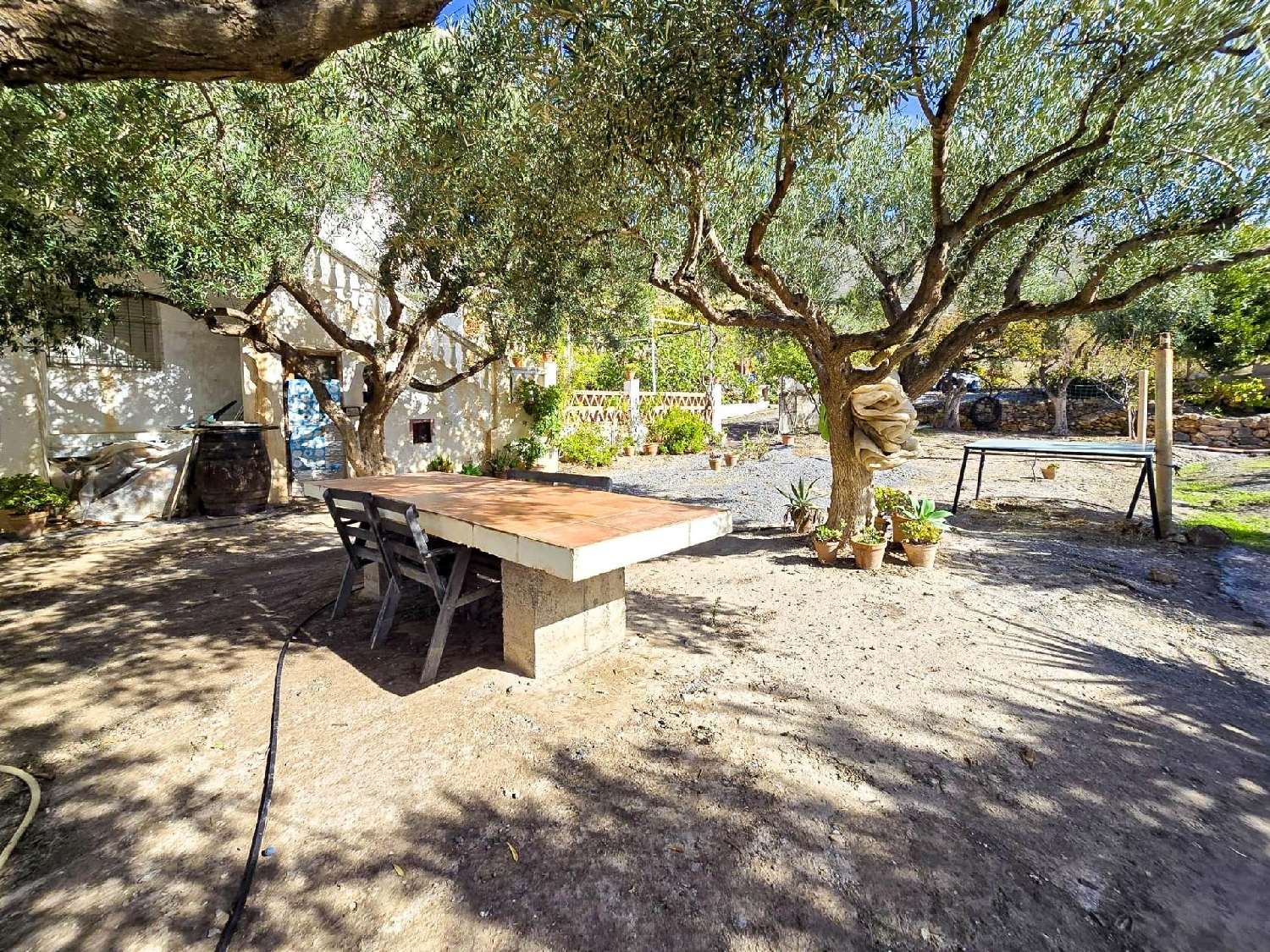  kaufen Landhaus Vélez De Benaudalla Costa Tropical 4