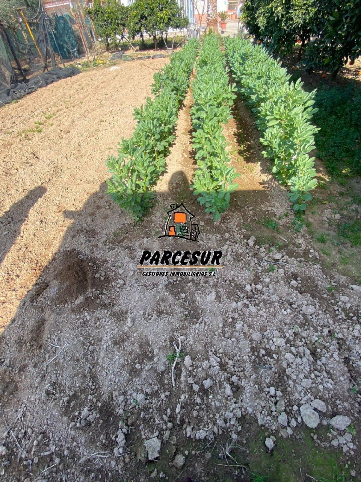 à vendre maison de campagne Villafranca De Córdoba Alto Guadalquivir 7