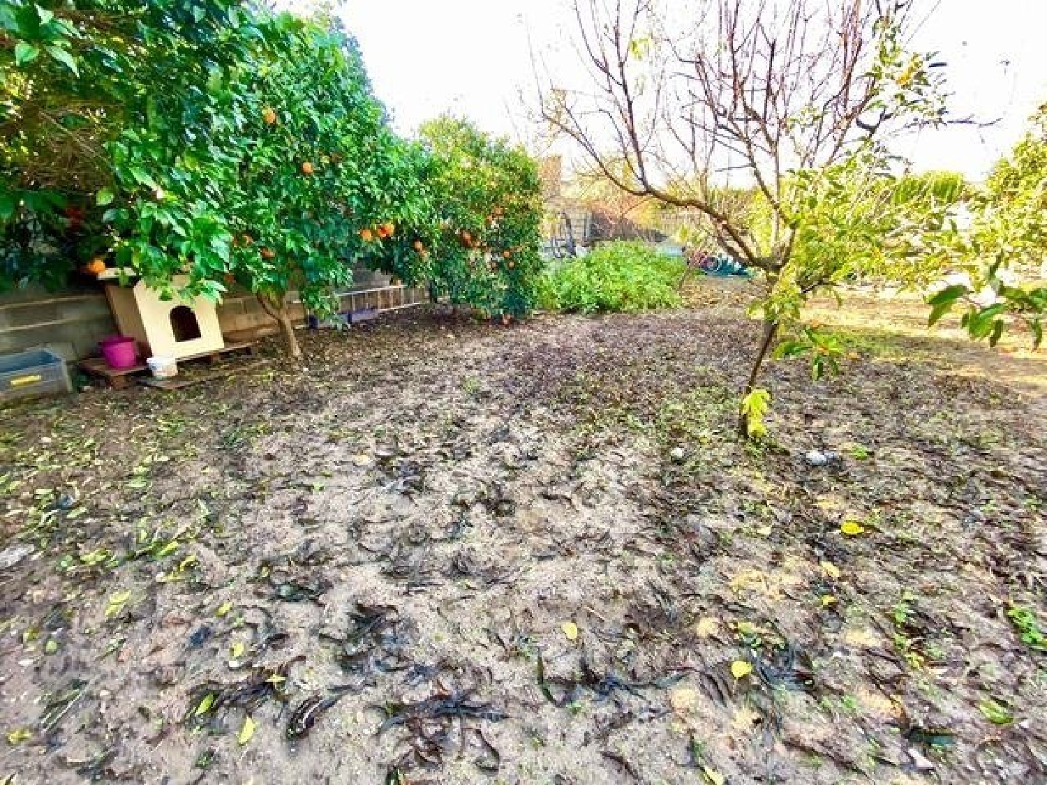  à vendre maison de campagne Villafranca De Córdoba Alto Guadalquivir 8