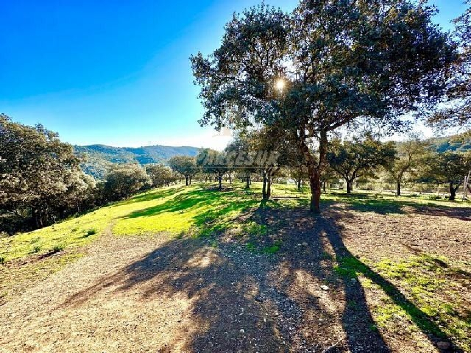 à vendre maison de campagne Villafranca De Córdoba Alto Guadalquivir 3