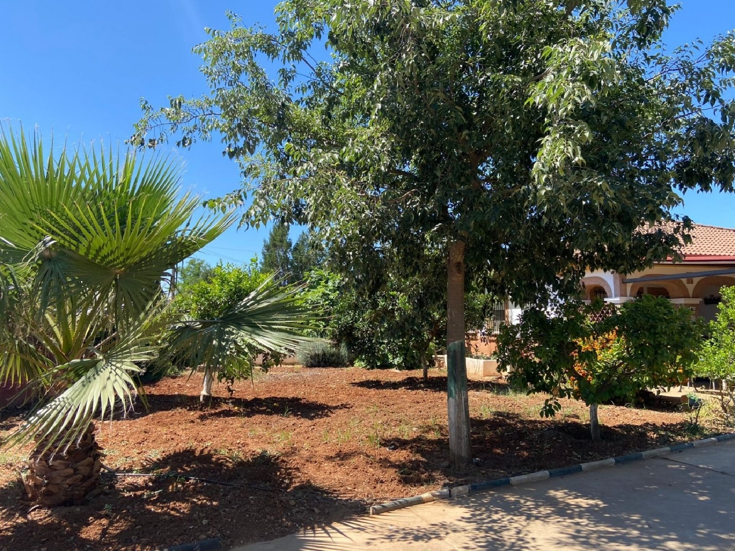  à vendre maison de campagne Villafranca De Córdoba Alto Guadalquivir 8