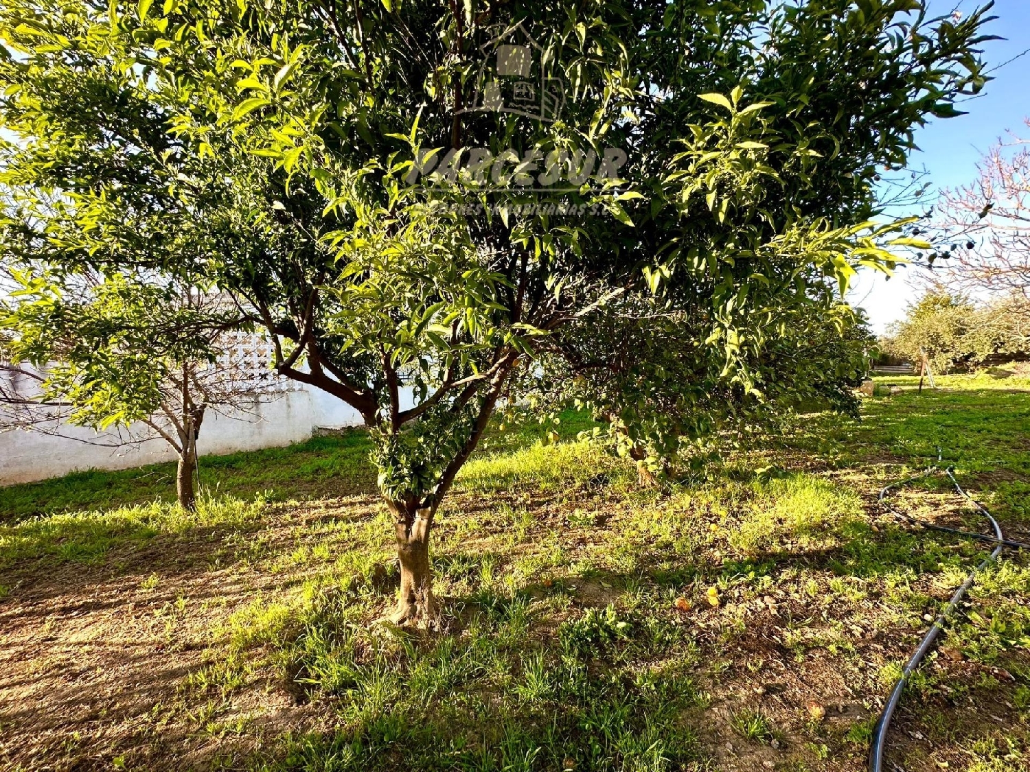  à vendre maison de campagne Villafranca De Córdoba Alto Guadalquivir 8