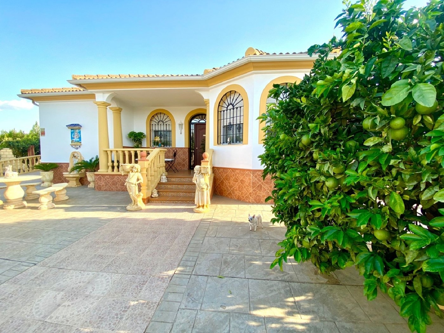  à vendre maison de campagne Villafranca De Córdoba Alto Guadalquivir 6
