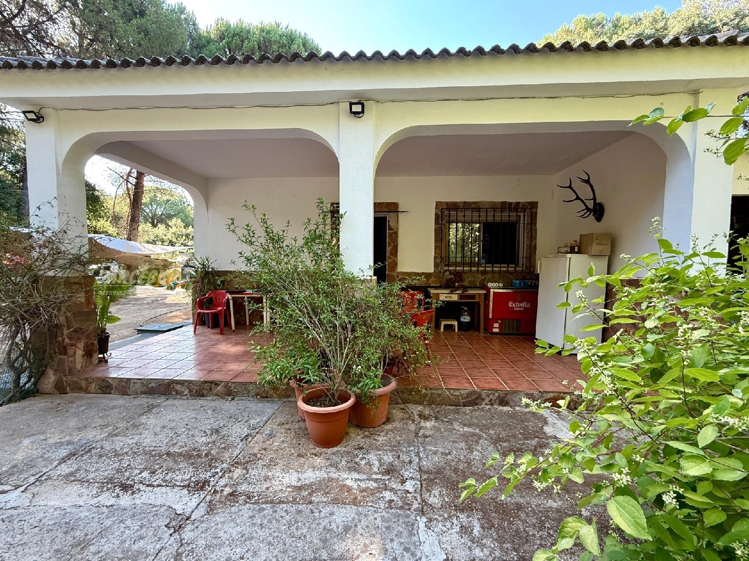  te koop boerderij Villafranca De Córdoba Alto Guadalquivir 4