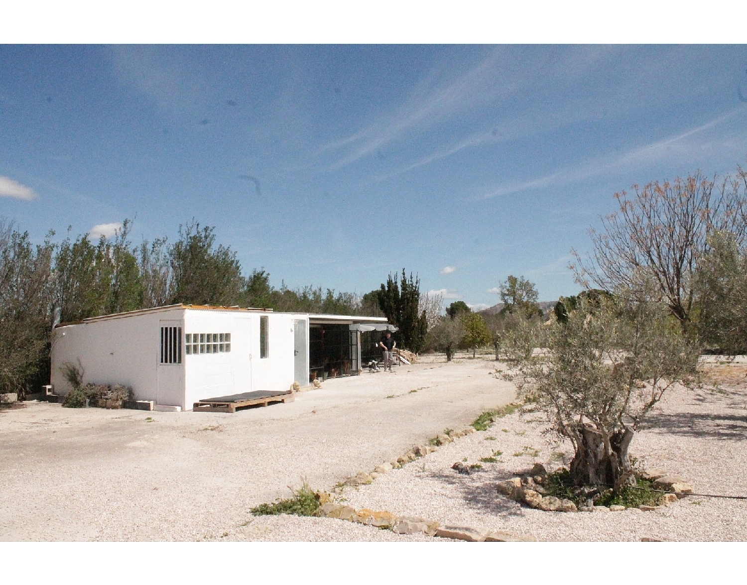  te koop boerderij Villena Alt Vinalopó 11