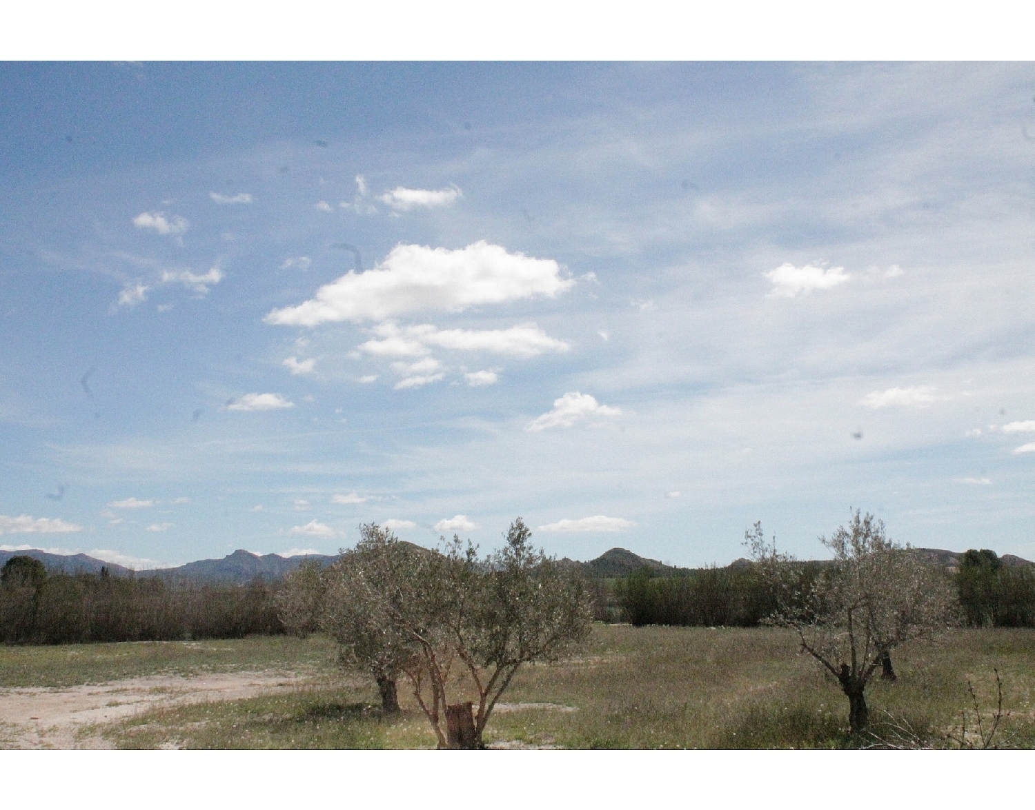  te koop boerderij Villena Alt Vinalopó 32