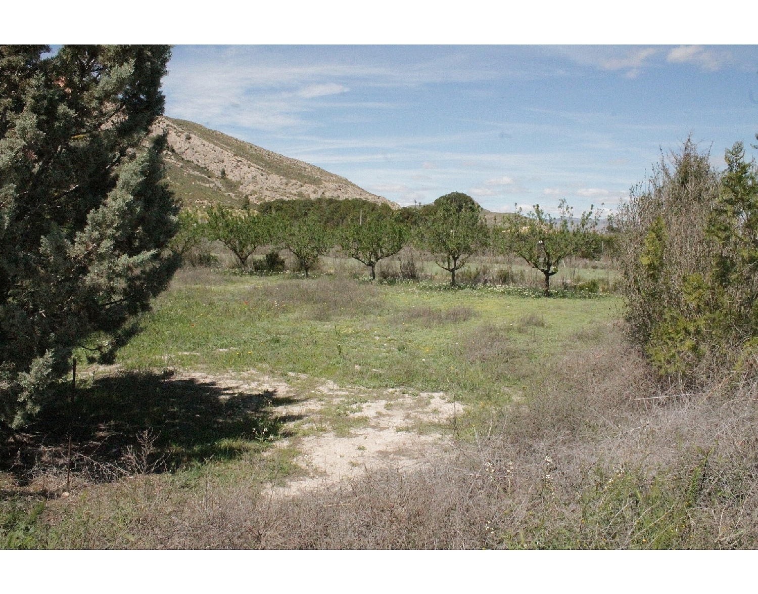  te koop boerderij Villena Alt Vinalopó 37