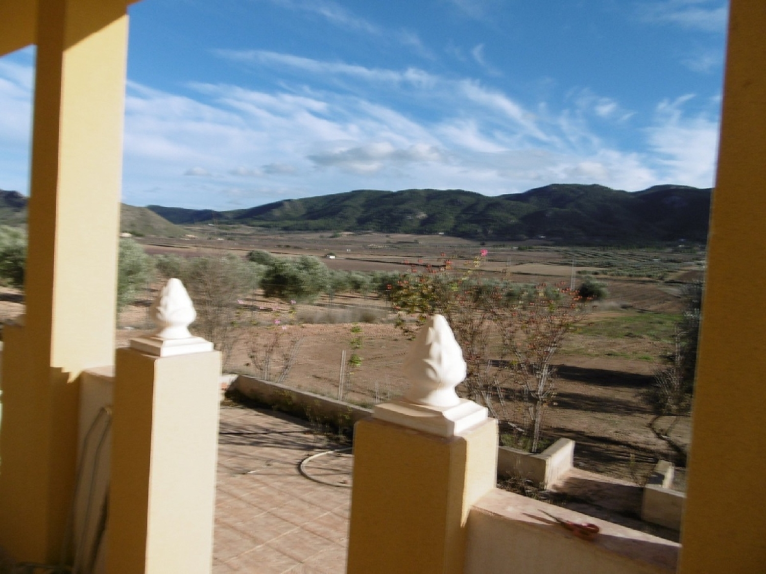  te koop boerderij Yecla Altiplano 12