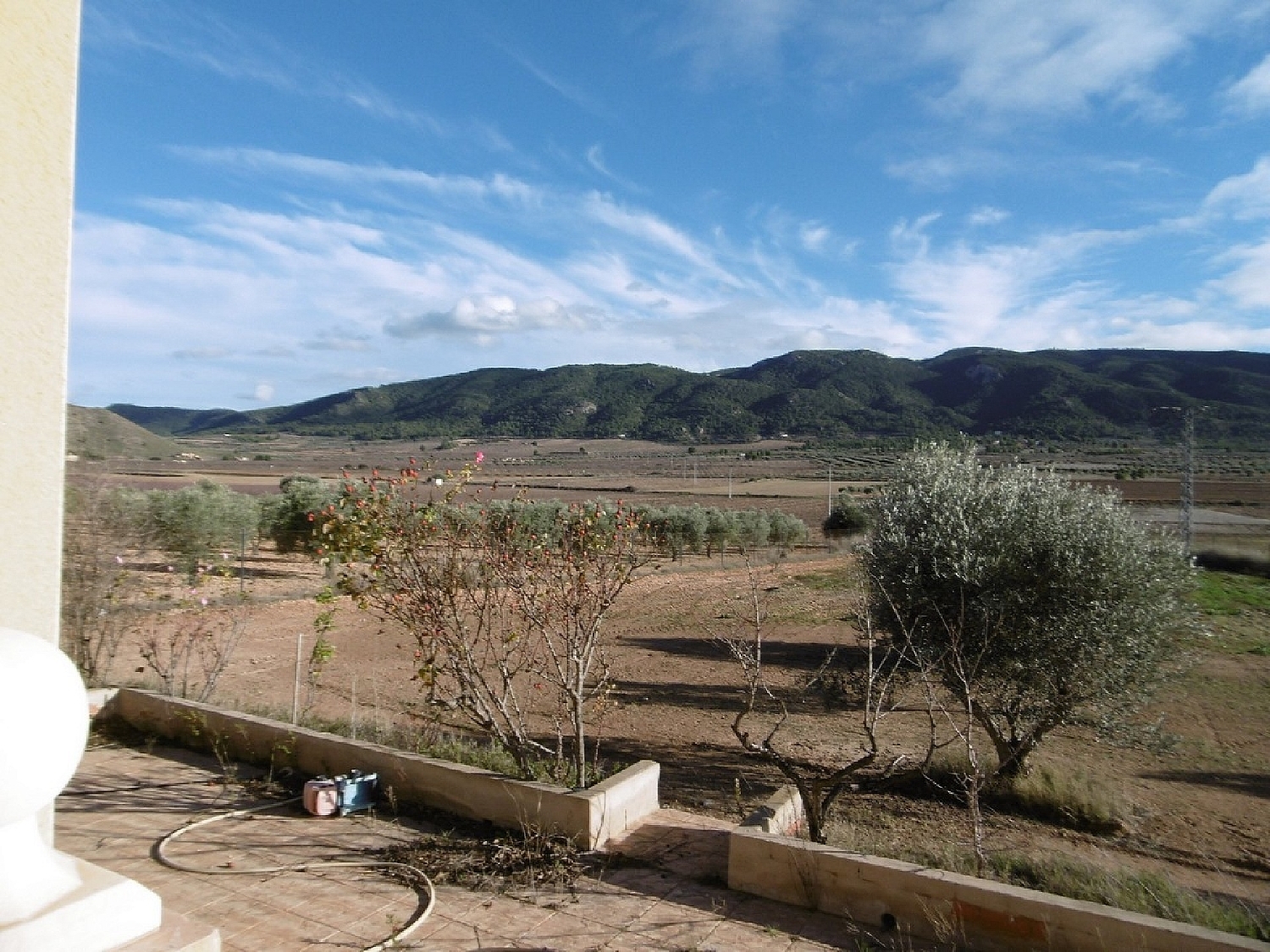  te koop boerderij Yecla Altiplano 10