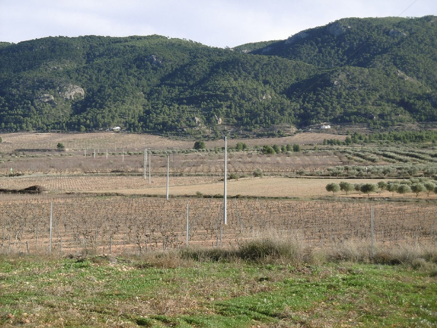  te koop boerderij Yecla Altiplano 15