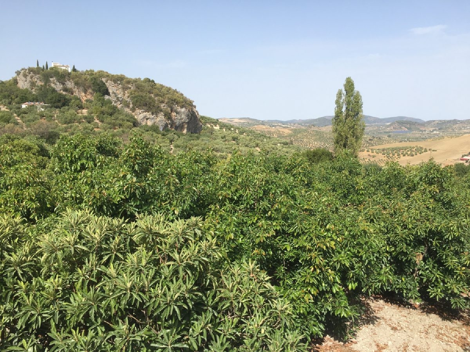  till salu hus på landet Zahara De La Sierra Sierra De Cádiz 5