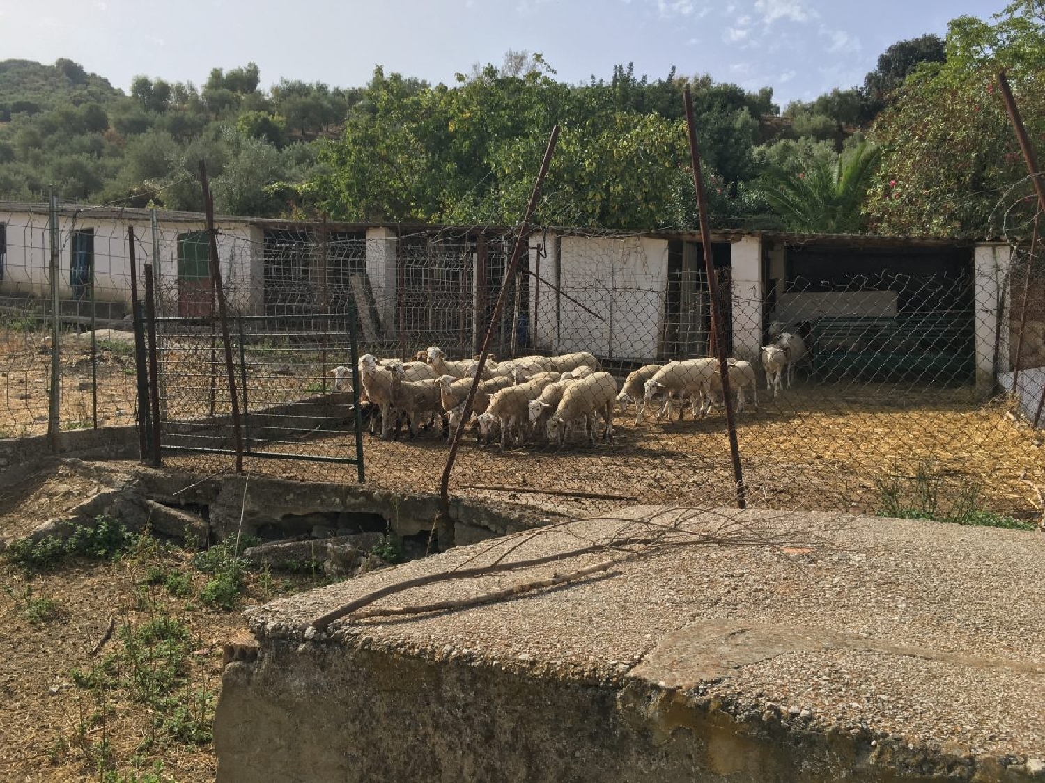  till salu hus på landet Zahara De La Sierra Sierra De Cádiz 7