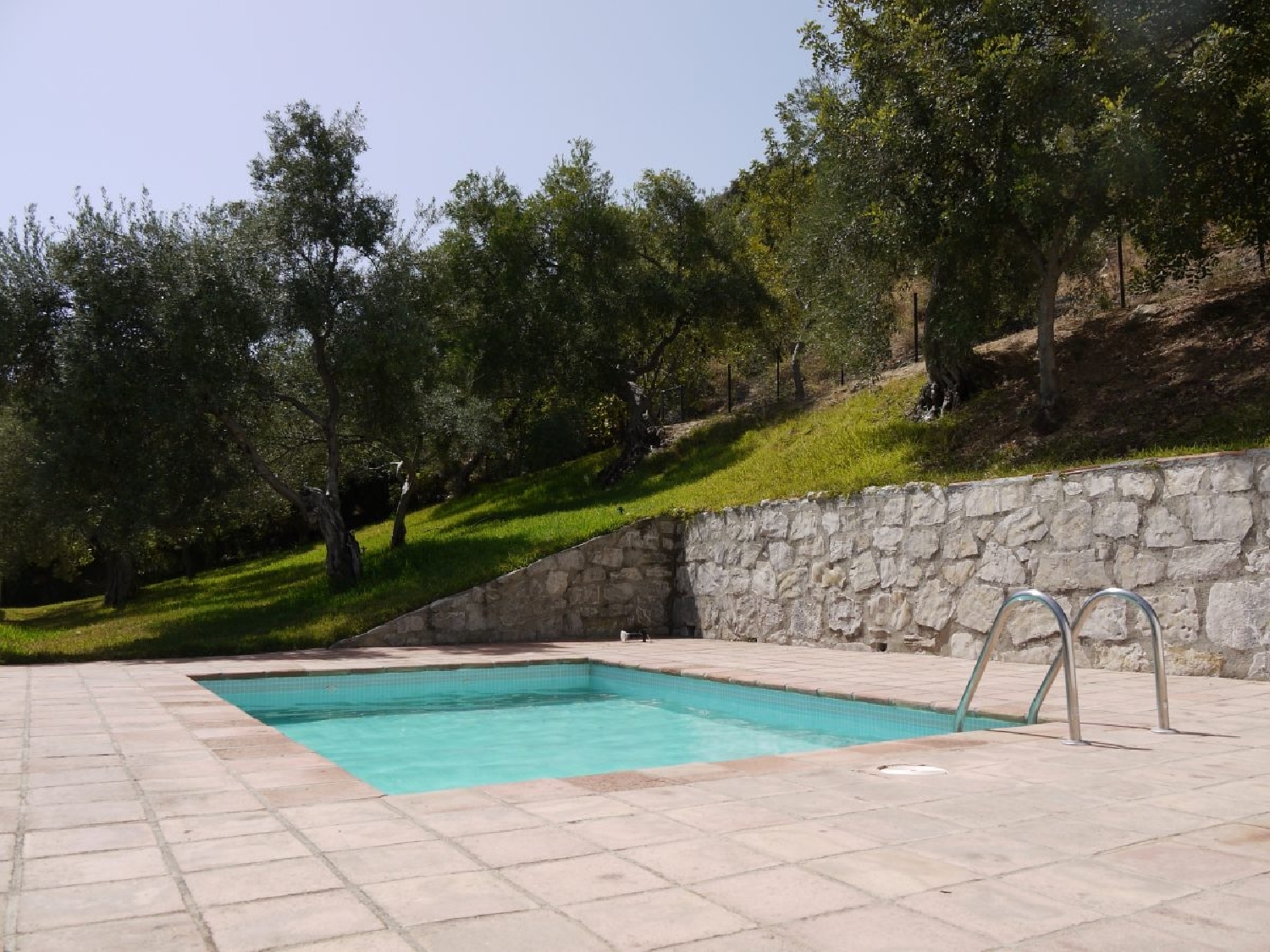  en venta finca rústica Zahara De La Sierra Sierra De Cádiz 8