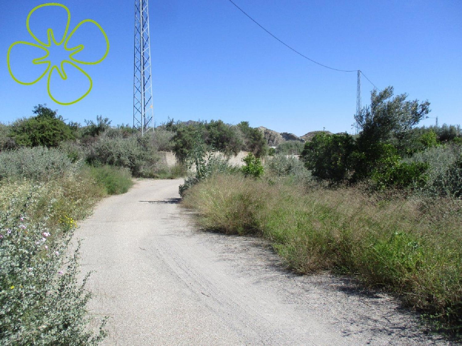  à vendre maison de campagne Zurgena Valle Del Almanzora 8