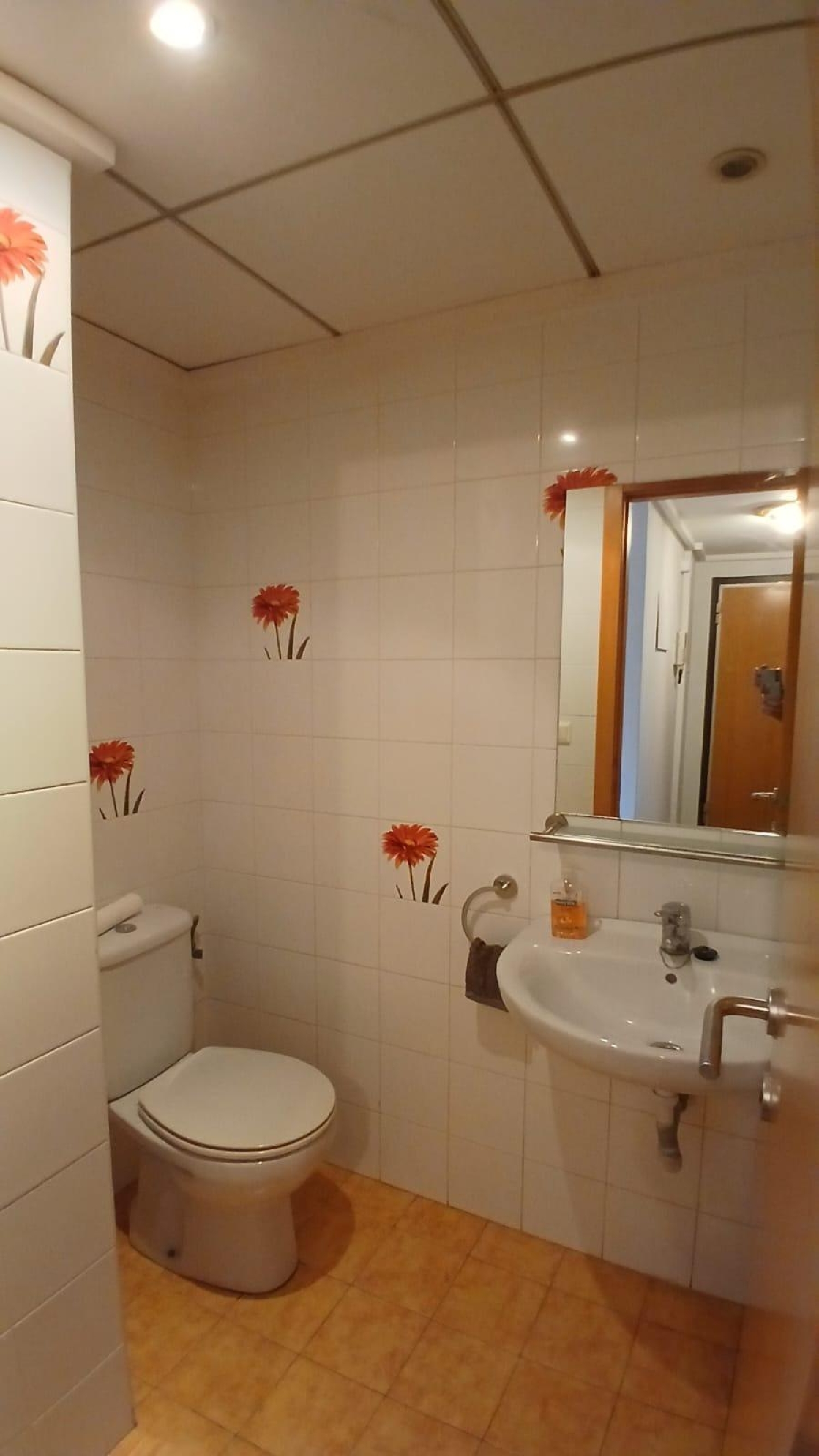  kaufen Maisonette Alicante Centro 03001 Alacantí 8