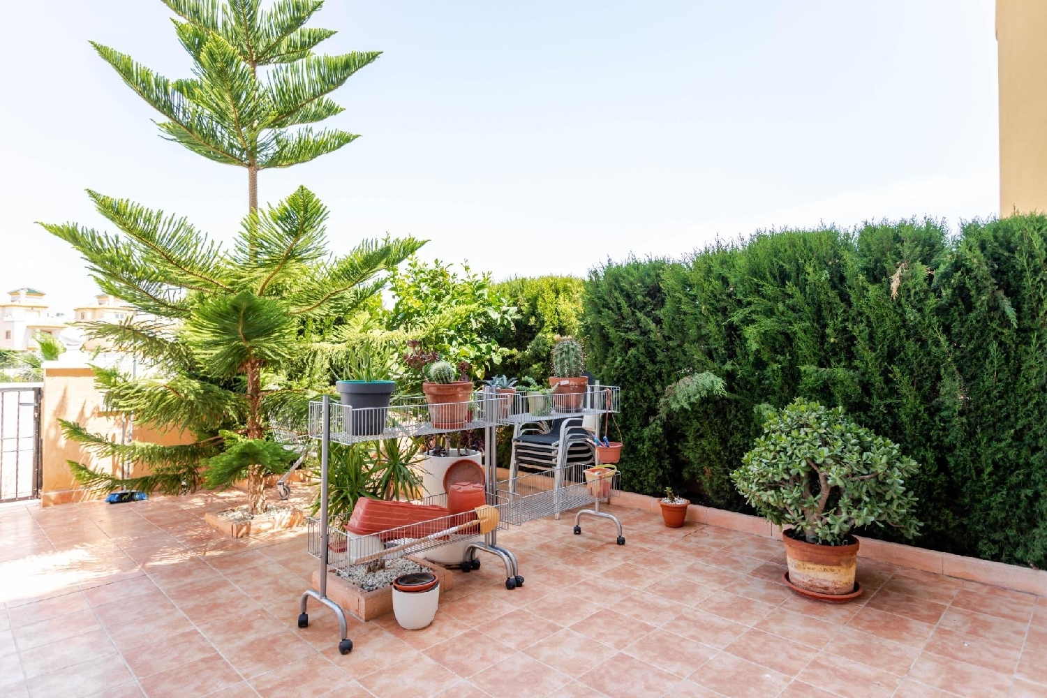  for sale ground floor Orihuela Costa Baix Segura 5