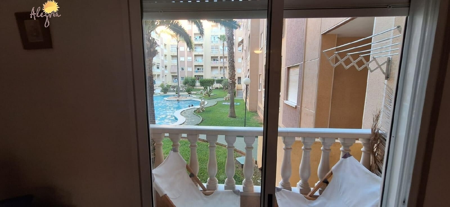  en venta planta baja Torrevieja Baix Segura 6