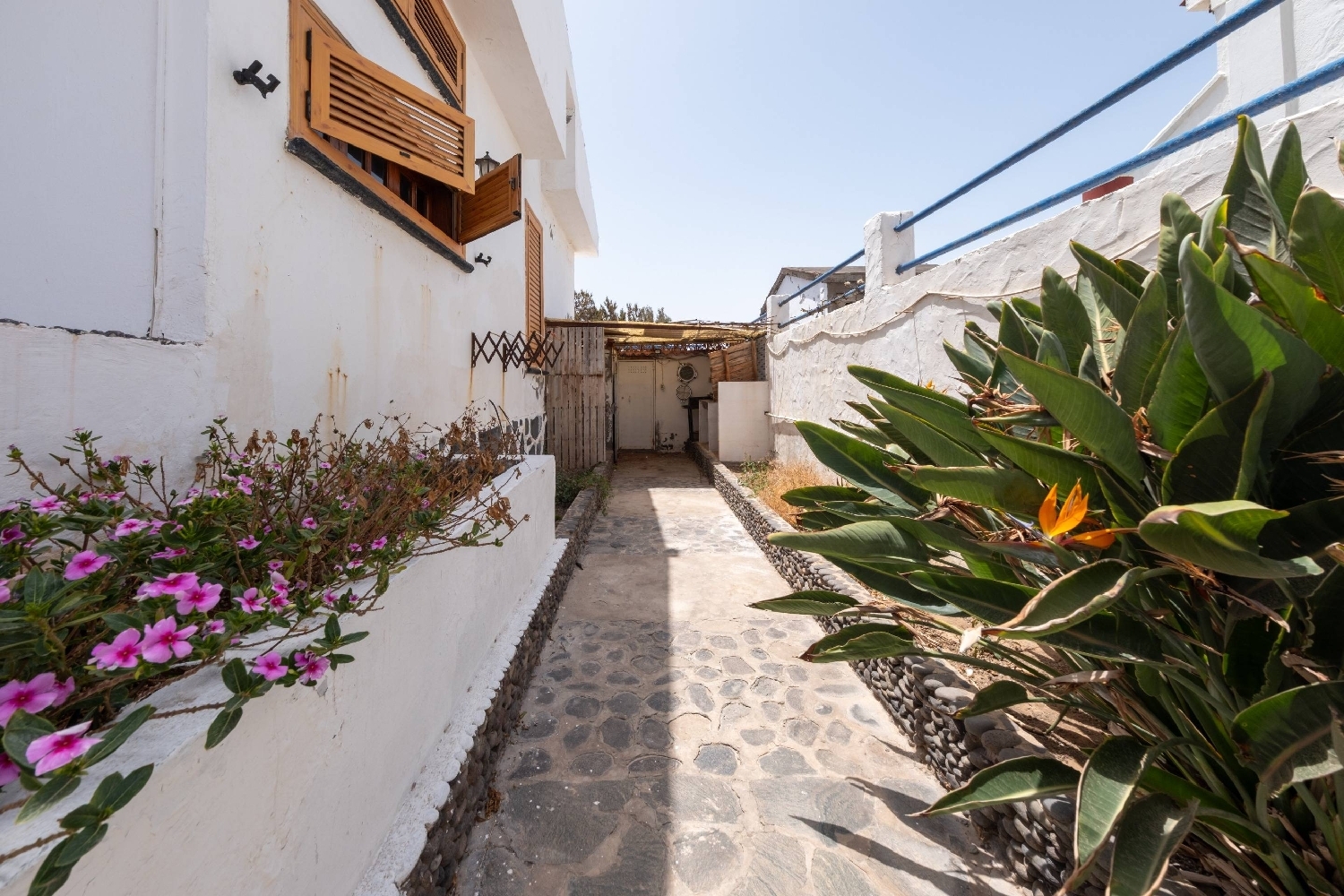  kaufen Haus Agaete Área Norte 6