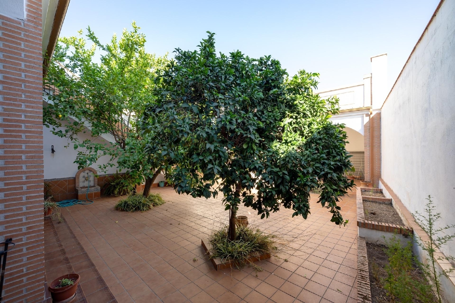  à vendre maison Albolote Vega De Granada 5