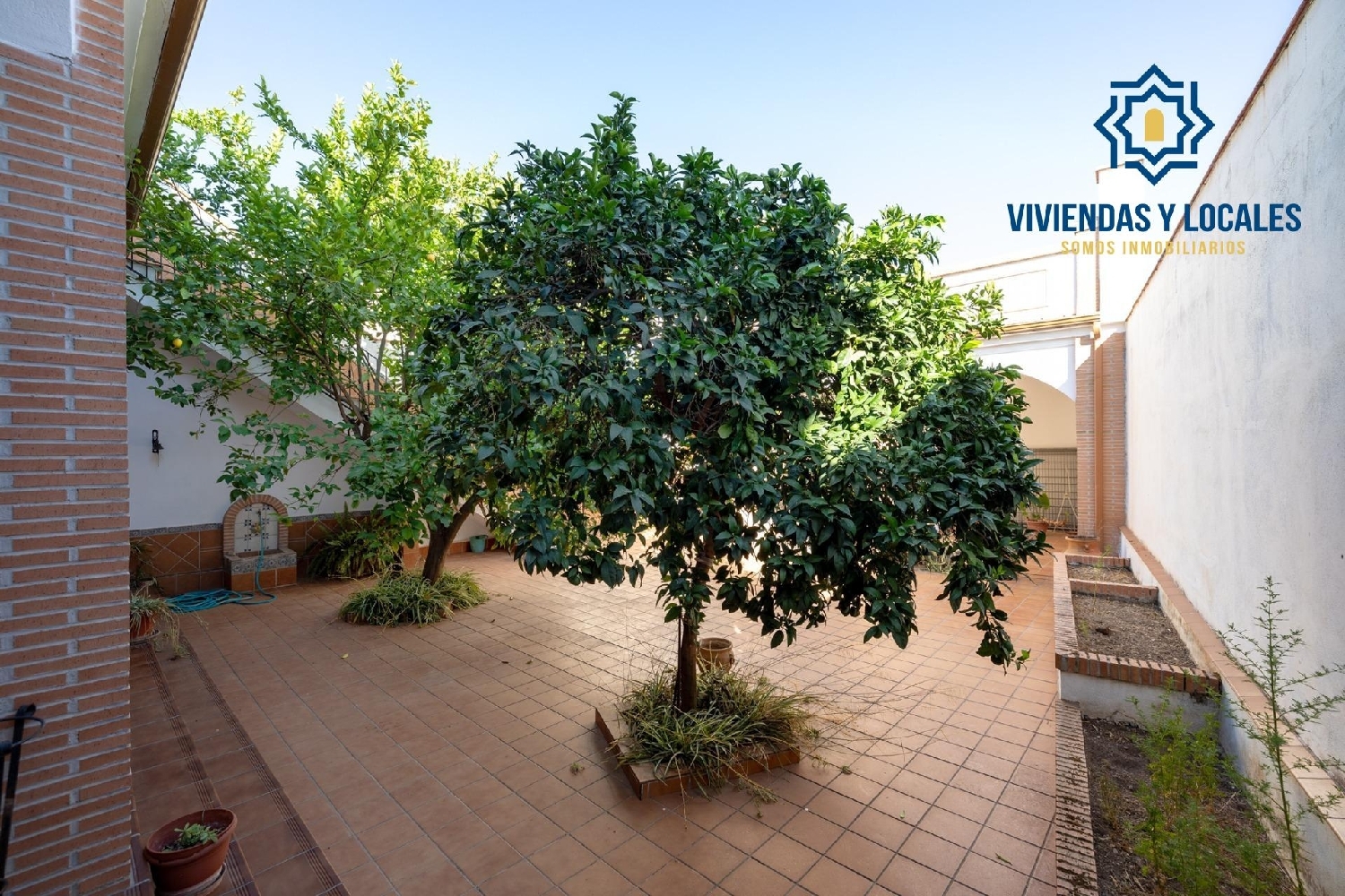  for sale house Albolote Vega De Granada 5