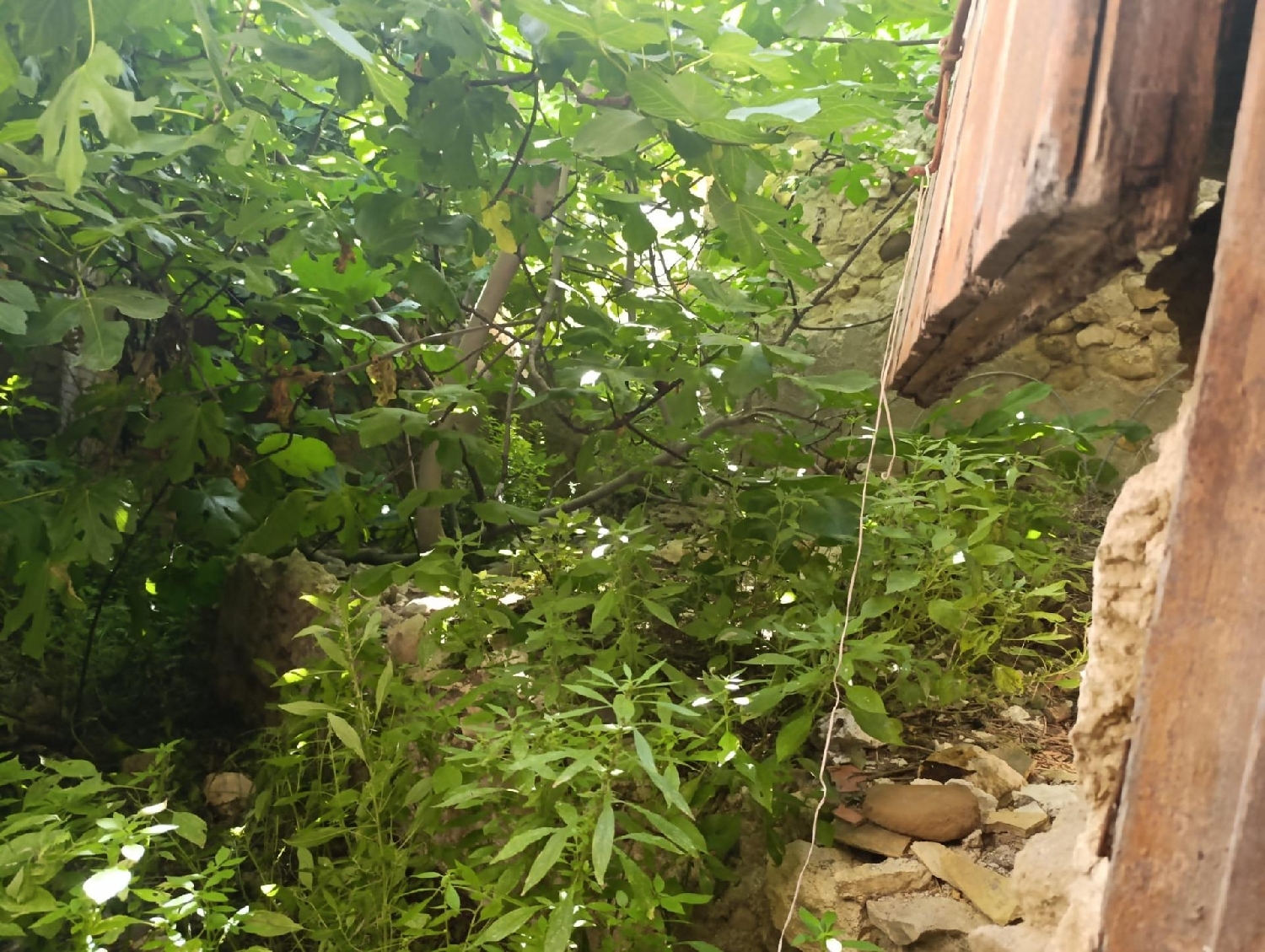 kaufen Haus Albudeite Río Mula 2